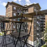 Rent 5 bedroom apartment in Milan