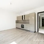 Pronajměte si 2 ložnic/e byt o rozloze 53 m² v Prague