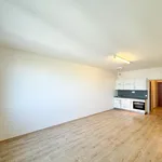 Rent 1 bedroom apartment of 33 m² in Praha