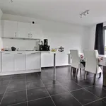 Rent 2 bedroom apartment in TOURNAI