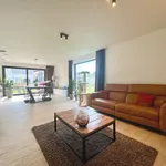 Rent 4 bedroom house of 324 m² in Lievegem