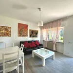 Rent 2 bedroom apartment of 50 m² in Dormelletto