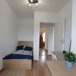 Rent a room of 8 m² in Bełchatów