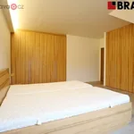 Rent 3 bedroom apartment of 195 m² in Brno