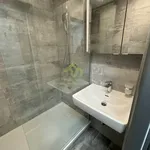 Rent 2 bedroom apartment in Plzeň