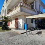 Rent 2 bedroom apartment of 55 m² in Latina