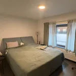 Rent 2 bedroom apartment in Duffel