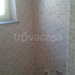 Rent 2 bedroom apartment of 55 m² in Torino