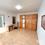 Rent 1 bedroom apartment in Brno