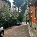 Affitto 2 camera appartamento di 80 m² in Bologna