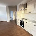 Rent 2 bedroom apartment of 65 m² in Torino