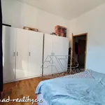 Rent 3 bedroom apartment of 56 m² in České Budějovice