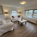 Rent 2 bedroom apartment of 45 m² in Nieuw-Vennep