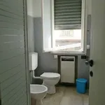 Rent 3 bedroom apartment of 100 m² in Bologna