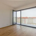 Rent 2 bedroom apartment of 65 m² in brno