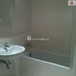 Rent 1 bedroom house in Prague