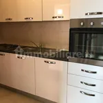 Rent 3 bedroom apartment of 62 m² in Bologna