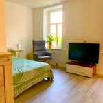 Rent 1 bedroom apartment of 49 m² in Leipzig