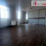 Rent 2 bedroom apartment of 65 m² in Zlín