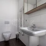 Rent 3 bedroom apartment in Capital City of Prague