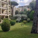 Rent 4 bedroom apartment of 120 m² in Rome