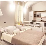 Rent 1 bedroom apartment of 46 m² in Turin