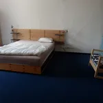 Rent a room of 110 m² in Prague