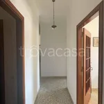 Rent 6 bedroom apartment of 175 m² in Marsala