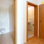 Rent 2 bedroom apartment of 69 m² in České Budějovice