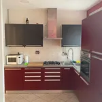 Rent 2 bedroom apartment of 70 m² in Pinerolo