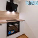 Rent 2 bedroom apartment of 48 m² in Capital City of Prague