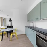 Rent 1 bedroom apartment of 44 m² in Prague