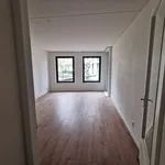 Huur 1 slaapkamer appartement van 55 m² in Amsterdam