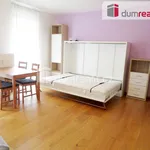 Rent 1 bedroom apartment in Prague