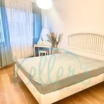 Pronajměte si 3 ložnic/e byt o rozloze 96 m² v Prague