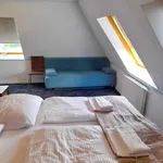 Miete 1 Schlafzimmer wohnung von 28 m² in Bonn