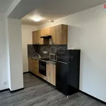 Rent 1 bedroom apartment of 34 m² in Hradec Králové