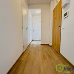 Rent 2 bedroom apartment in Brno