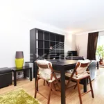 Rent 1 bedroom apartment in London