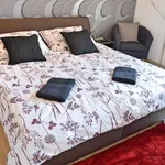 Rent 1 bedroom apartment of 40 m² in Brno