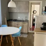 Rent 3 bedroom apartment of 60 m² in Turin