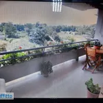 Appartamento arredato con terrazzo San Nicola la Strada