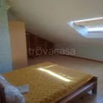 Rent 3 bedroom apartment of 85 m² in Chieti