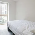 Rent 1 bedroom apartment in dublin