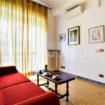 Rent 4 bedroom apartment of 120 m² in Roma