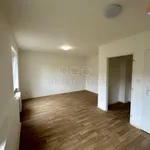 Rent 1 bedroom apartment of 20 m² in Ostrava