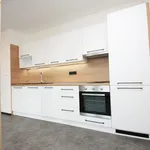 Rent 2 bedroom apartment of 50 m² in Kolín