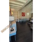 Rent 3 bedroom apartment of 82 m² in Firenze