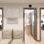 Rent 20 bedroom apartment in Madrid