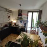Affitto 4 camera casa di 85 m² in Pavia